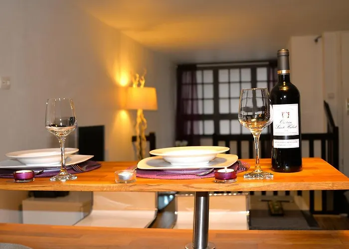 Duplex With Sauna City- Center Cathedrale